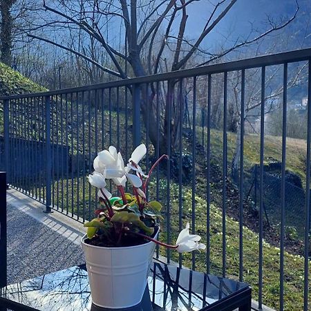 Casa Laura Zona Bellagio Apartment Magreglio Екстериор снимка